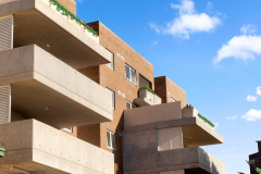 Rear-Exterior-Cropped